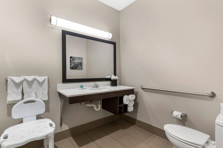 Bathroom 2, Comfort Inn & Suites, Rogers