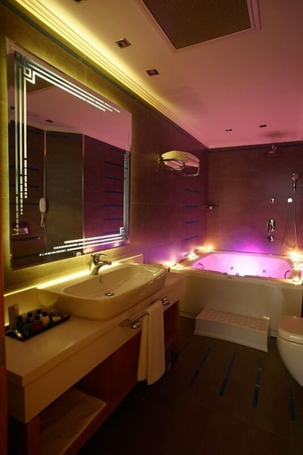 Bathroom 4, dovsOtel, Merkez