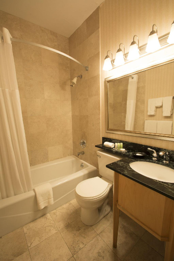 Bathroom 4, Adria Hotel And Conference Center, New York