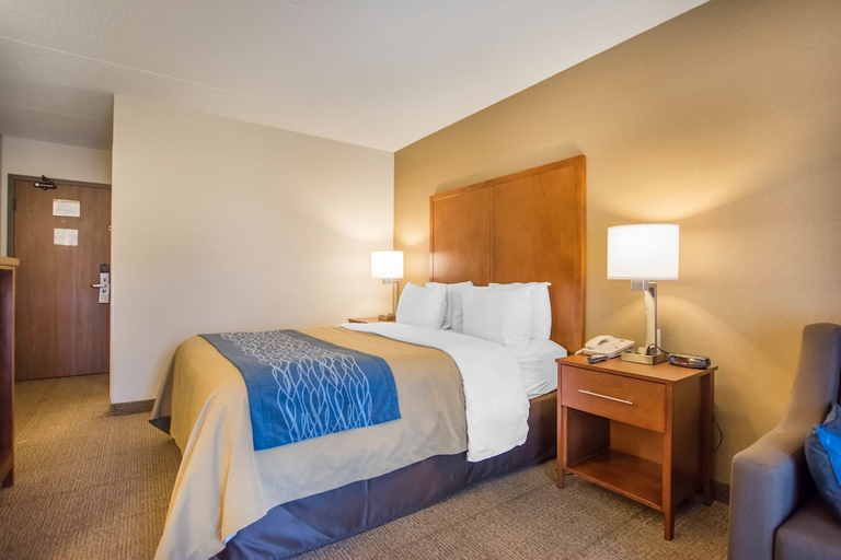 Bedroom 3, Comfort Inn, Gloucester