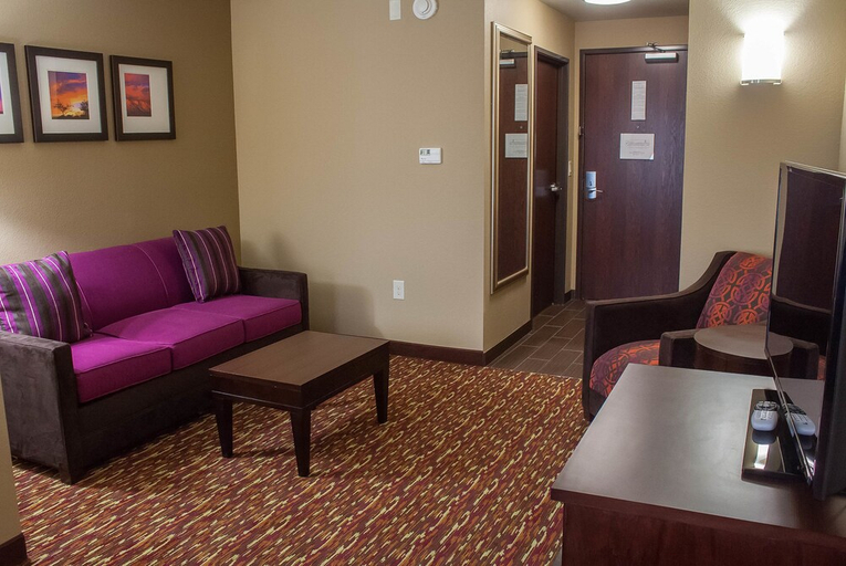 Others 5, Comfort Inn & Suites Artesia, Eddy