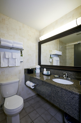 Bathroom, Quality Inn and Suites, Division No. 11
