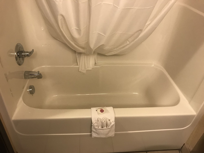 Bathroom 4, Comfort Inn & Suites Airdrie, Division No. 6