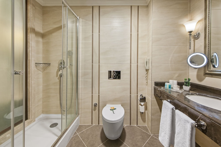 Bathroom 5, Elite World Van, Merkez
