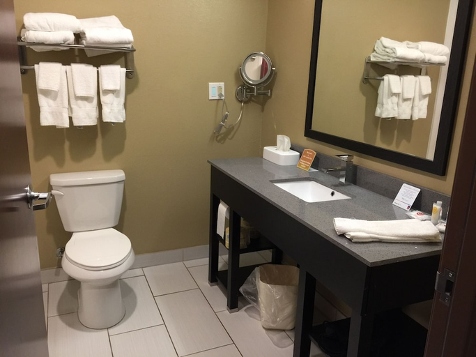 Bathroom 5, Comfort Suites Uniontown, Fayette