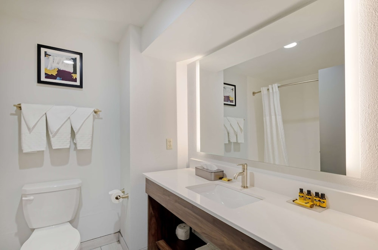 Bathroom 4, Best Western Plus Harrisonburg, Harrisonburg