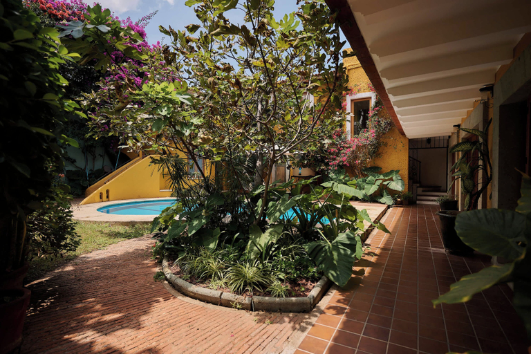 Room 3, Casa Dos Parques AC Pool Garden Design Location, Del Centro