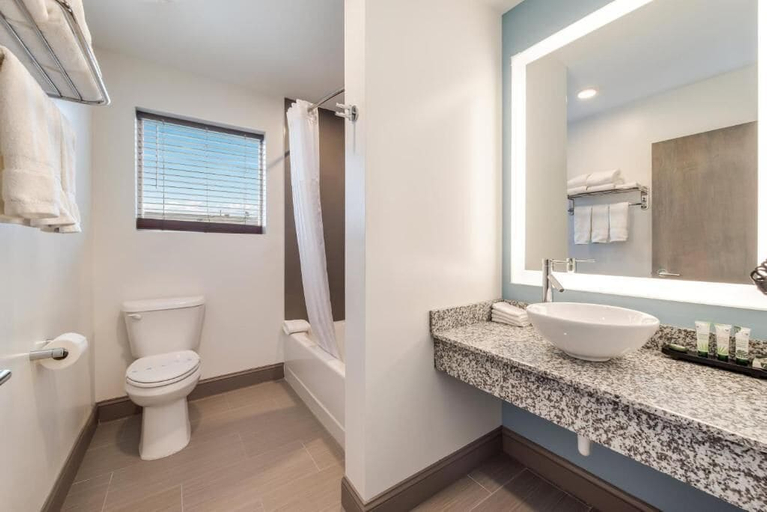 Bathroom 4, Le Voyageur Motel, Cape May