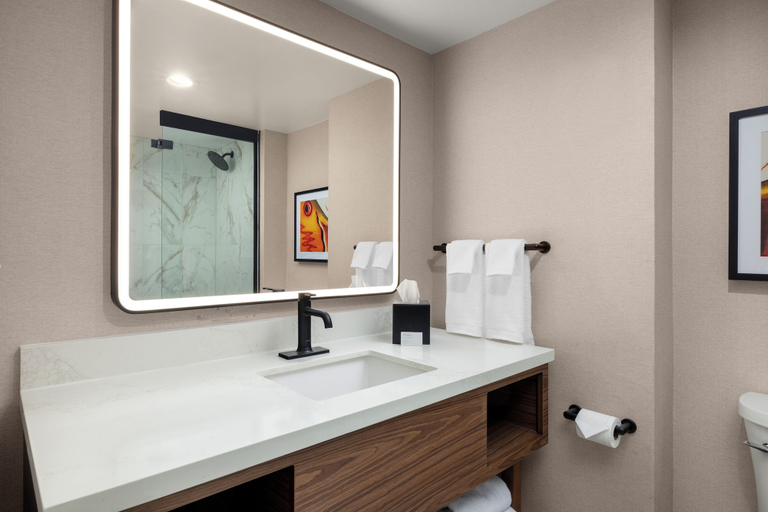 Bathroom 4, Embassy Suites by Hilton Cincinnati Northeast Blue Ash, Hamilton