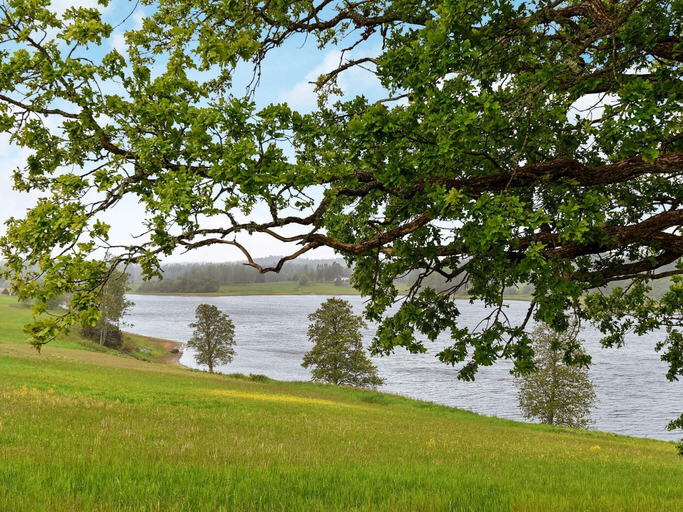 Others 4, person holiday home in Frandefors, Färgelanda