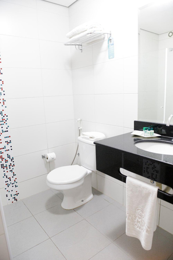 Bathroom 4, Premium Pirassununga, Piracununga