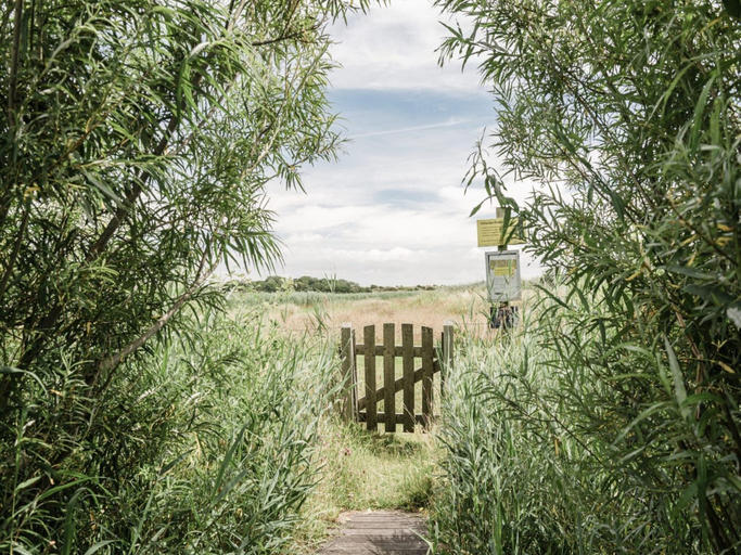 Garden 4, Rustic Beach Getaway w/ Bikes, Zijpe