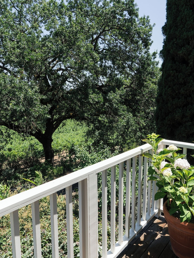 Others 4, Le Petit Pali St. Helena, Napa