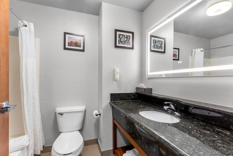 Bathroom 4, Comfort Inn & Suites Thatcher - Safford, Graham