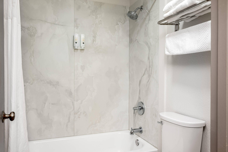 Bathroom, Quality Inn South Hill I-85, Mecklenburg