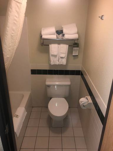 Bathroom 3, Cobblestone Hotel & Suites – Wisconsin Rapids, Wood