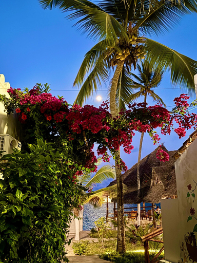 Exterior & Views 2, Avo Boutique Hotel, Kati