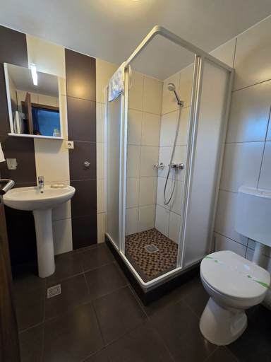 Bathroom 4, Pensiunea Transilvania, Sibiu