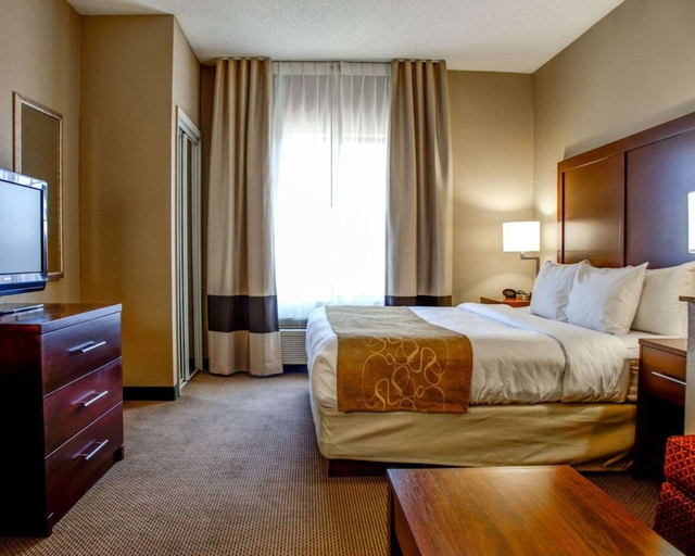 Bedroom 3, Comfort Suites Gadsden Attalla, Etowah