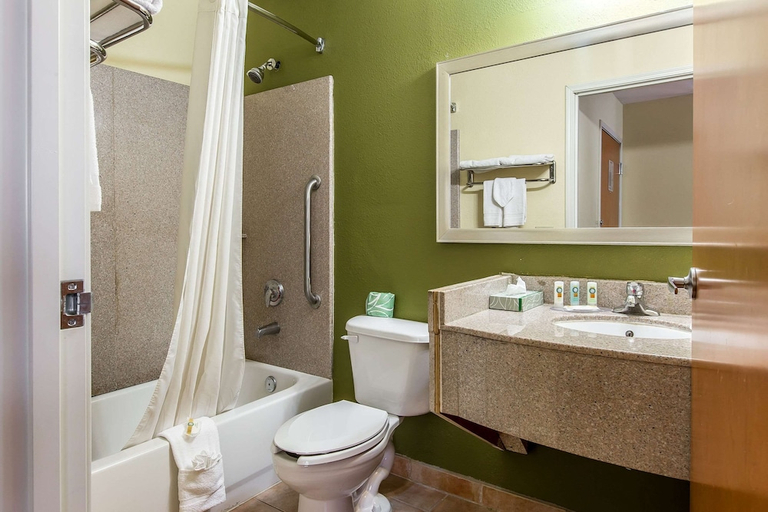 Bathroom, Quality Inn Hanceville US Hwy 31, Cullman
