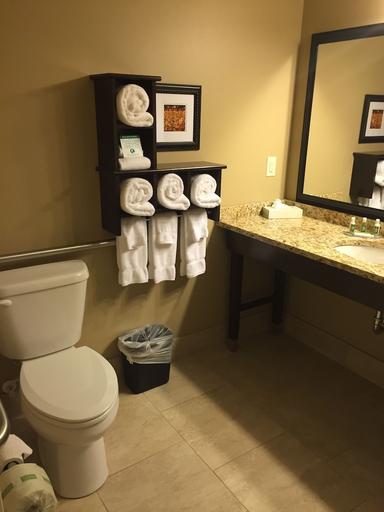Bathroom, GrandStay Hotel & Suites Mount Horeb - Madison, Dane