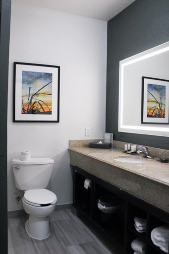 Bathroom 4, La Quinta Inn & Suites by Wyndham Lumberton, Hardin