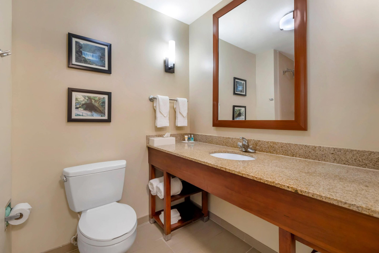 Bathroom 4, Comfort Suites Elizabethtown, Hardin