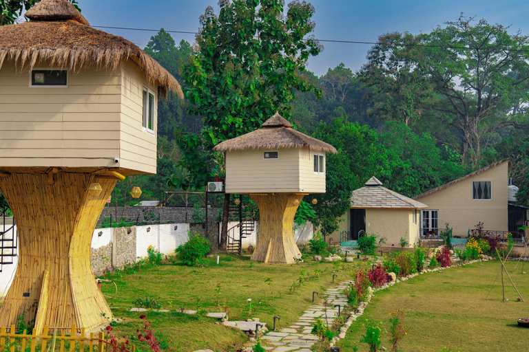 Property grounds 2, Whispering roots, Nainital