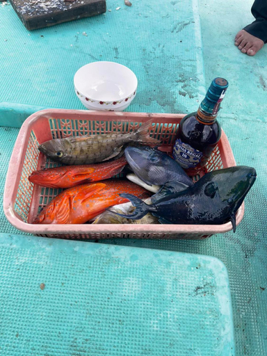 Food & Drinks, An Phú Villa, Phú Quý