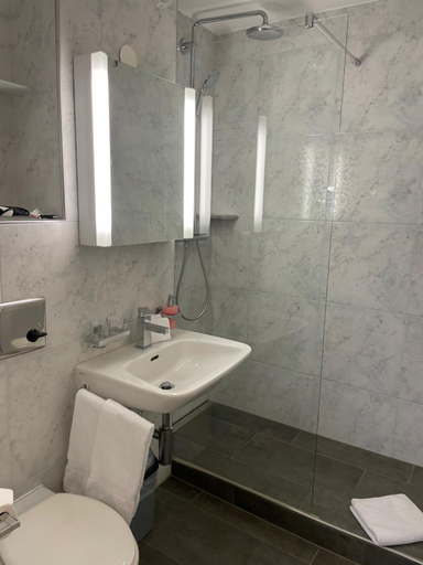 Bathroom, Hôtel des Alpes, Imboden