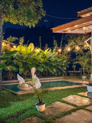 Others 4, Alderwood by Nginapsini, Bogor