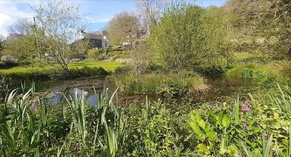 Property grounds 5, Cottage - Sleeps 2 - River Lynher Walks & Fishing, Cornwall