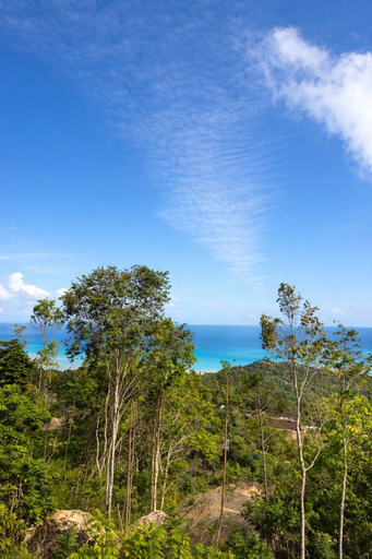 Miscellaneous 3, eterna village, Ko Phangan