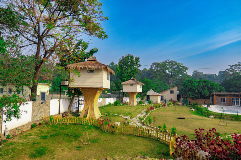 Property grounds 3, Whispering roots, Nainital