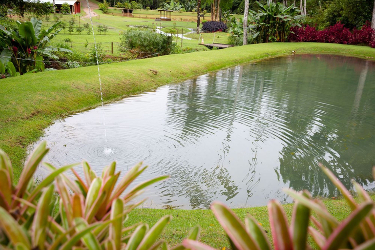 Room 2, Vila Joaquim Pet Friendly c Ar em Meio Natureza, Domingos Martins