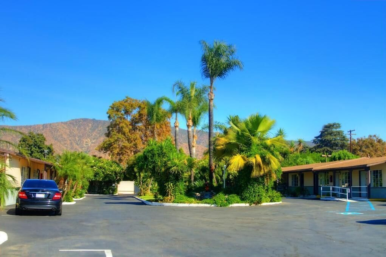 Exterior & Views 2, Palm Tropics Motel, Los Angeles