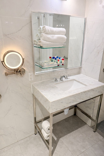 Bathroom 4, Hotel Mirage Brooklyn, New York