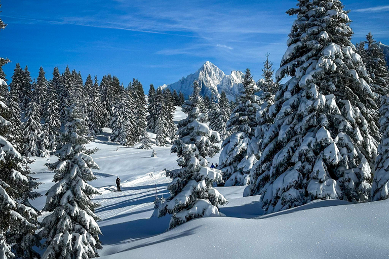 Others 5, Chalet Les Frenes, Haute-Savoie