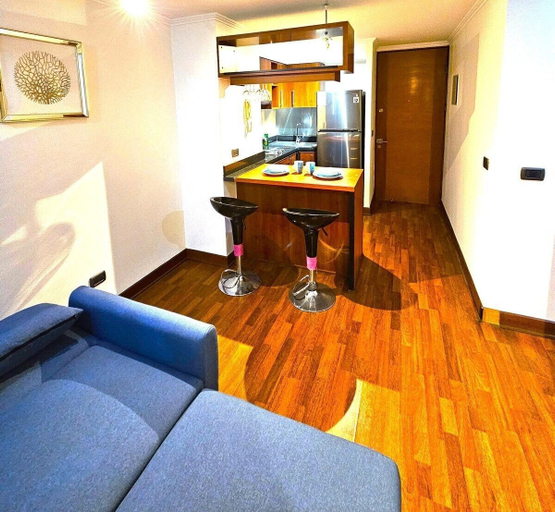 Others 5, Manuel Montt apartrent, Santiago