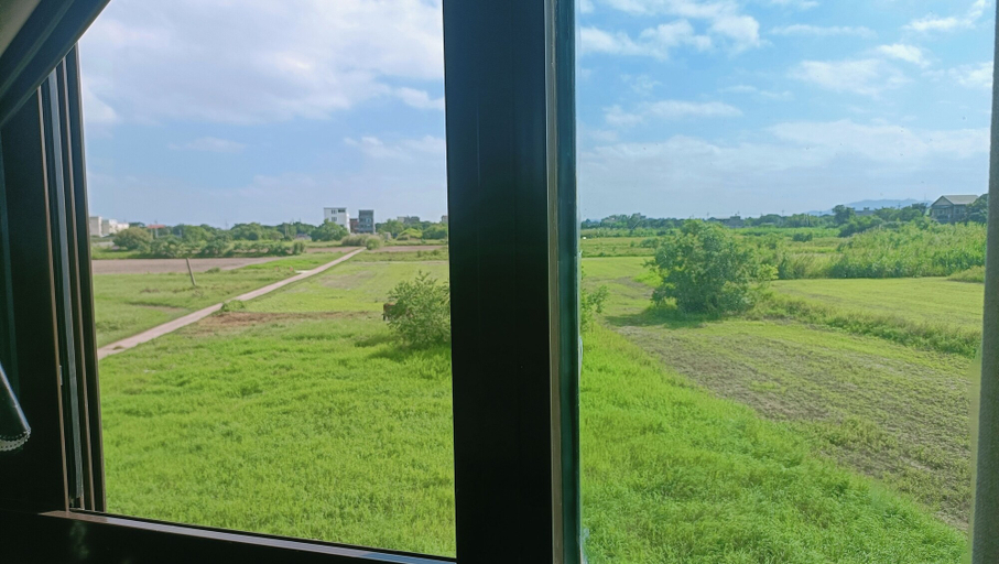 View from room, Mushrooms, Kinmen