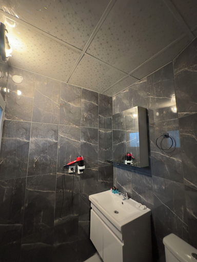 Bathroom 4, Modena Hotel, Fatih