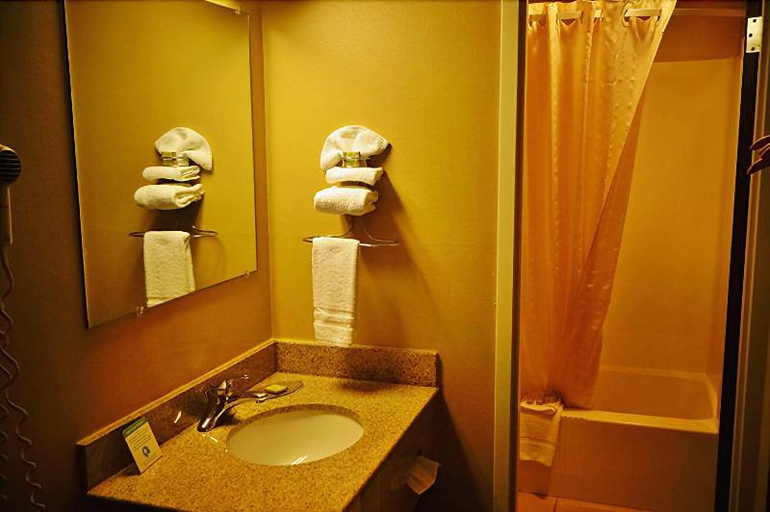 Bathroom 3, Hometown Inn & Suites, Washington