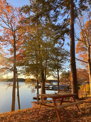 BBQ/picnic area, Mid Lake Campground, Sabine