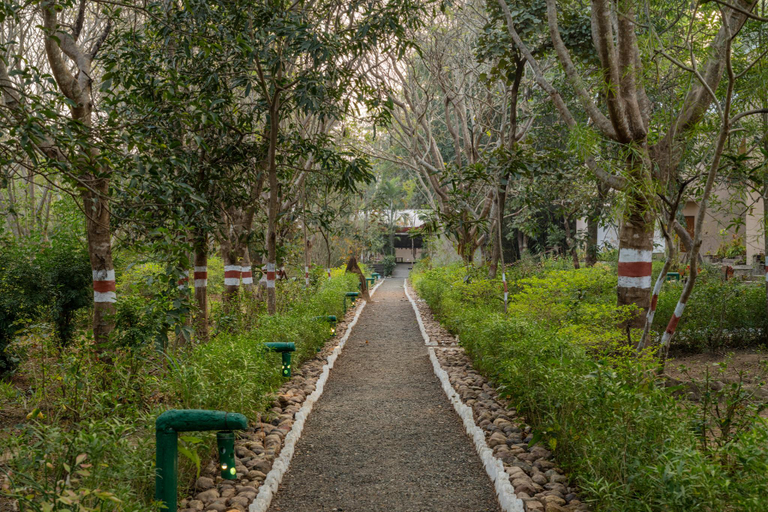 Public Area 4, juSTa The Bagh, Kanha, Balaghat