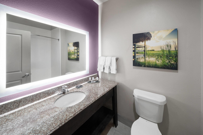 Bathroom 4, La Quinta Inn & Suites by Wyndham Boutte, Saint Charles