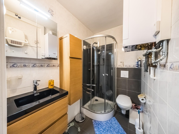 Bathroom, Spacious studio with separate sleeping area, West-Vlaanderen