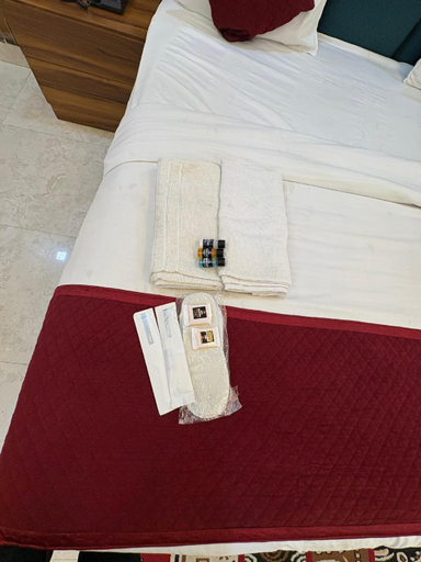 Bedroom 2, Hotel Grand View, Agra