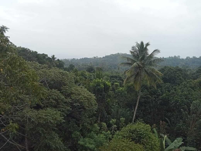 Lake view, blissfull Ridge Bungalow Kandy, K.F.G. & G. Korale