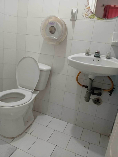 Bathroom 3, Hotel Pelman, Palmira