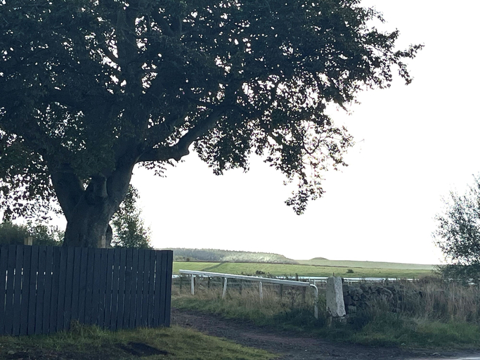 Miscellaneous 3, Belstane Manor B&B, South Lanarkshire